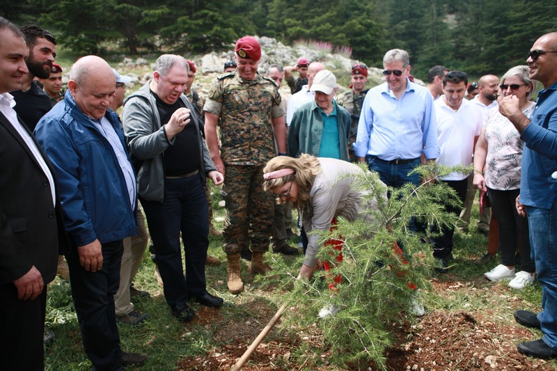 Cedar tree in memory of the Lebanese Commandos Regiment founder
